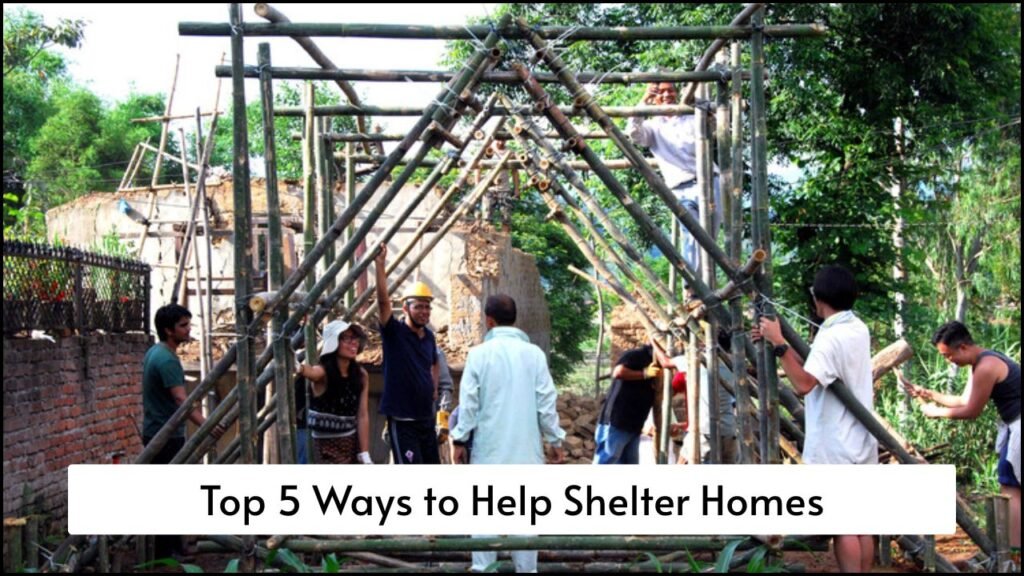 Top 5 Ways to Help Shelter Homes Without Spending Money